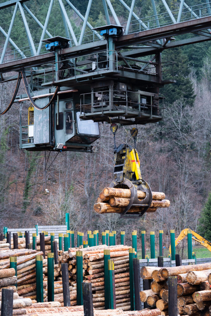 Dold Sägewerk Buchenbach